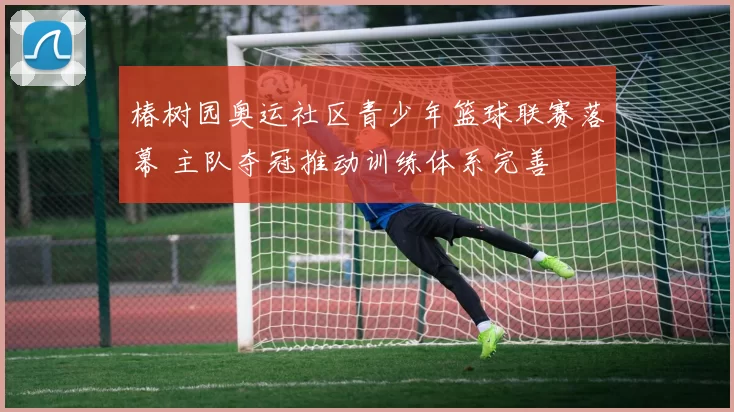 椿树园奥运社区青少年篮球联赛落幕 主队夺冠推动训练体系完善