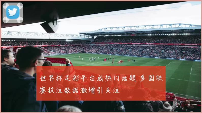 世界杯足彩平台成热门话题 多国联赛投注数据激增引关注
