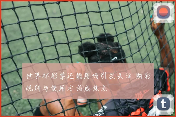 世界杯彩票还能用吗引发关注 购彩规则与使用方式成焦点